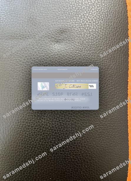 Somalia Amal Bank visa debit card photolook back